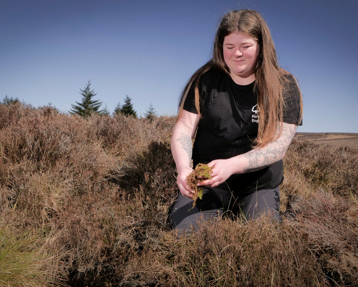 Rowan Hickman crouched down holding peat