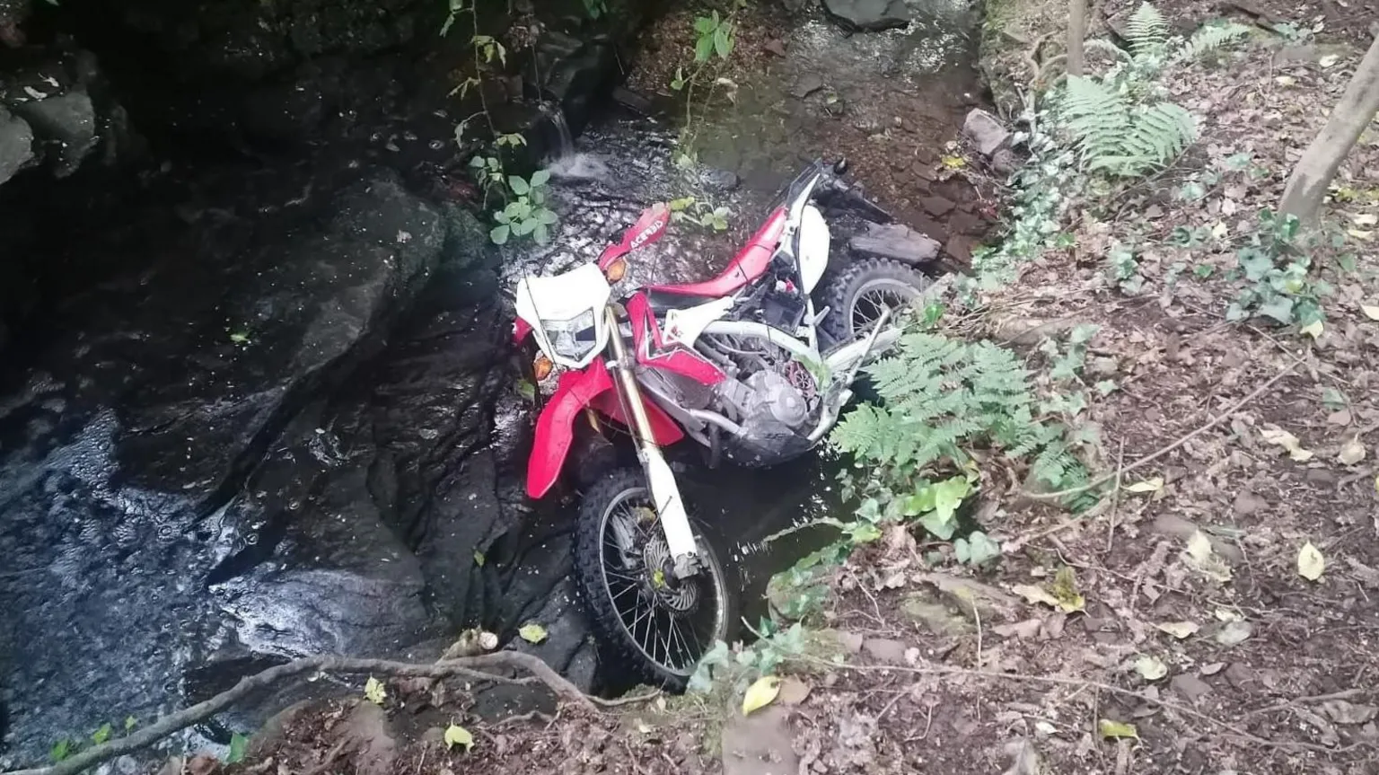 Jamie Howell A red motorbike dumped in a forest lake