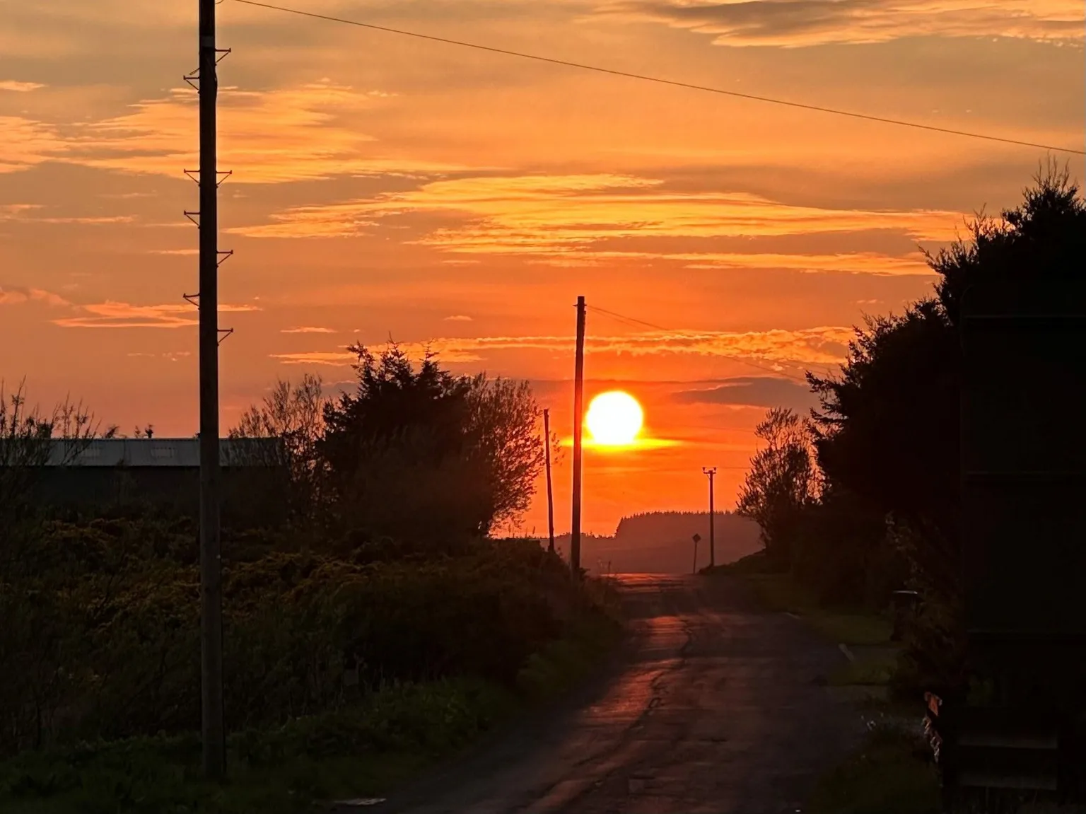 Anne Campbell An orange sunset. A road runs towards the sun with trees and bushes on either side. Telegraph poles stand in the distance and there is a roof of a building on the right. 