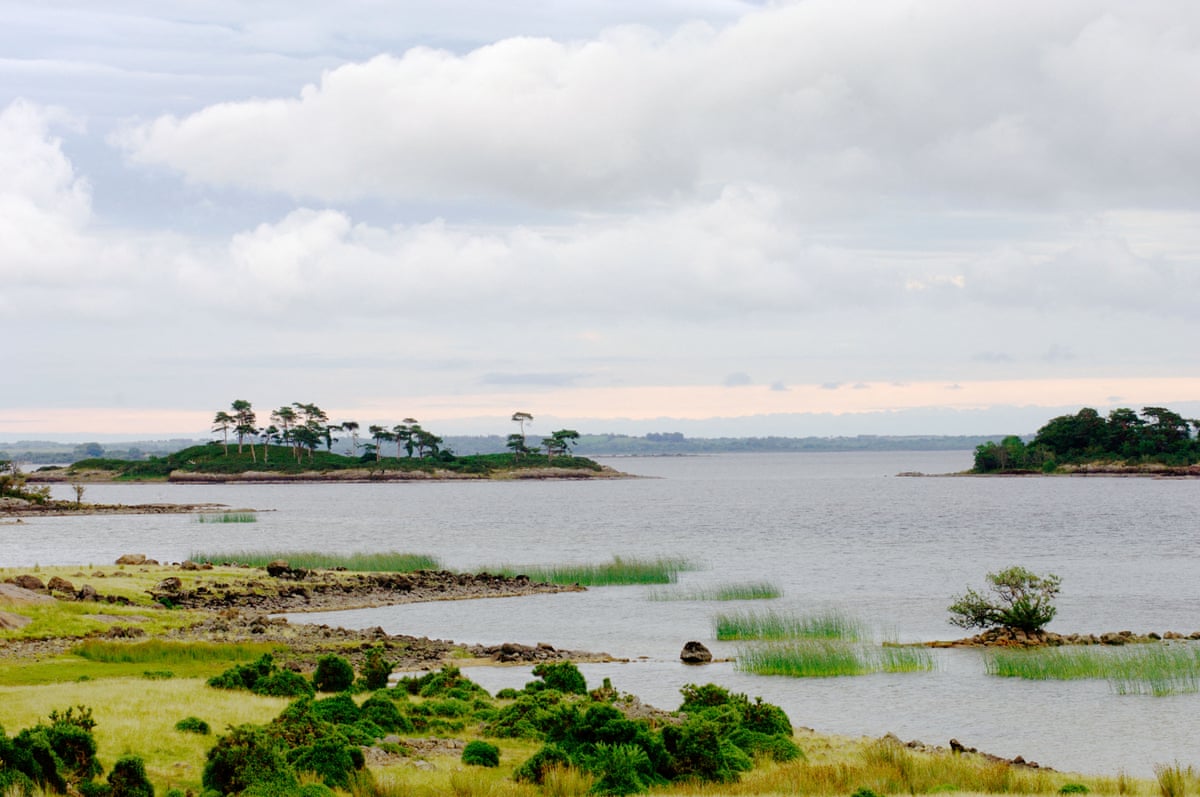 Irish lake studded with small islands of trees