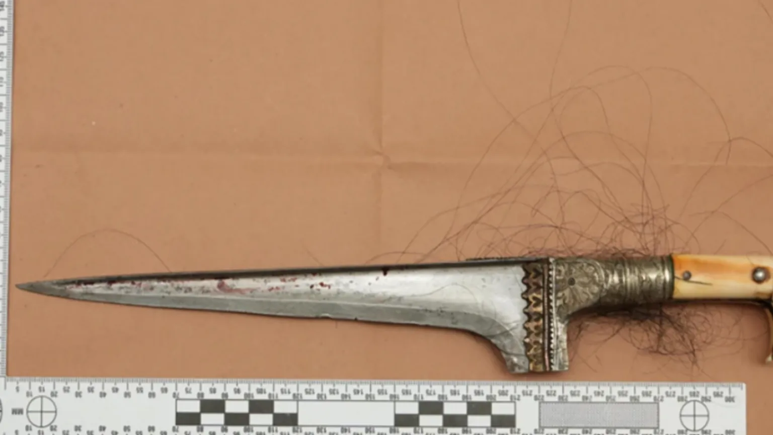 Crown Prosecution Service A long knife next to a ruler for reference with dark hair attached to the handle