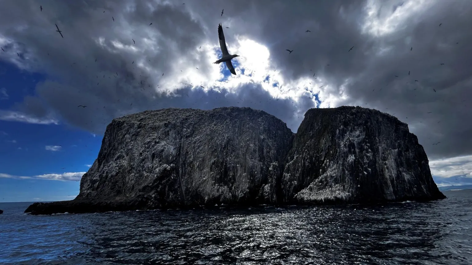 Bass Rock against a partially cloudy sky with a bird swooping overhead.