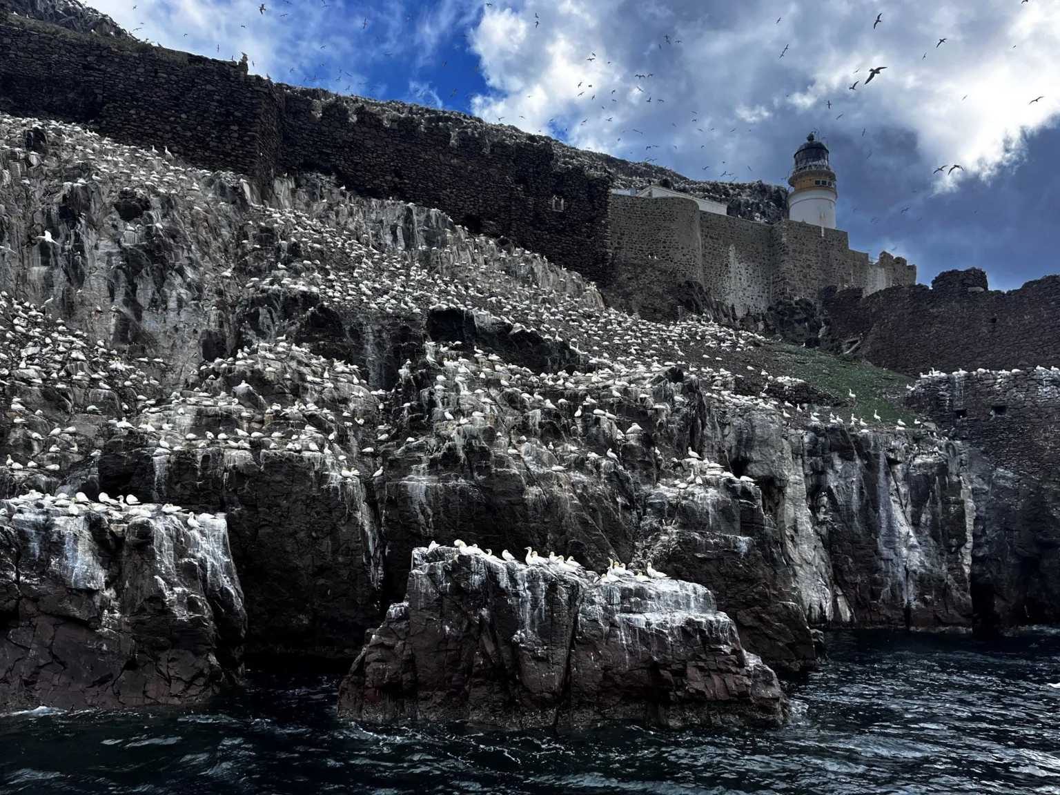 A side view of the Bass Rock with a lighthouse perched on the top. Birds are covering much of the ground.
