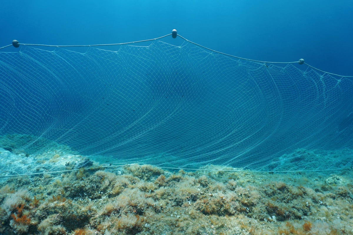 Gillnets are the highest risk for seabird catch.