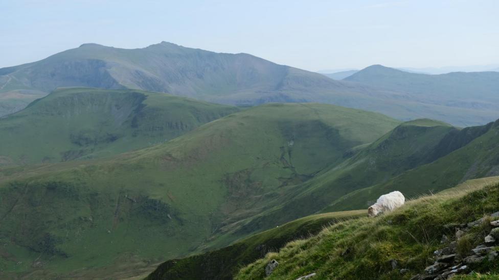 Llun o'r Wyddfa