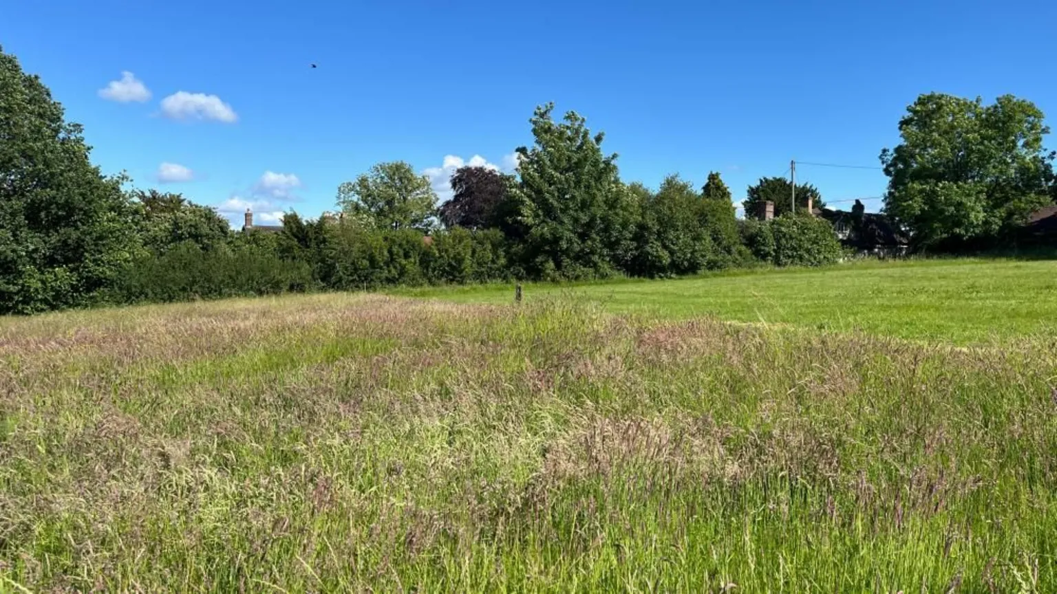 Ellen Knight/BBC Photograph of a meadow of wild grasses, with closely mown grass on the edge of the frame showing the contrast between the two landscapes. The green has trees and bushes along the edge - the sky is blue and there is strong sunshine.