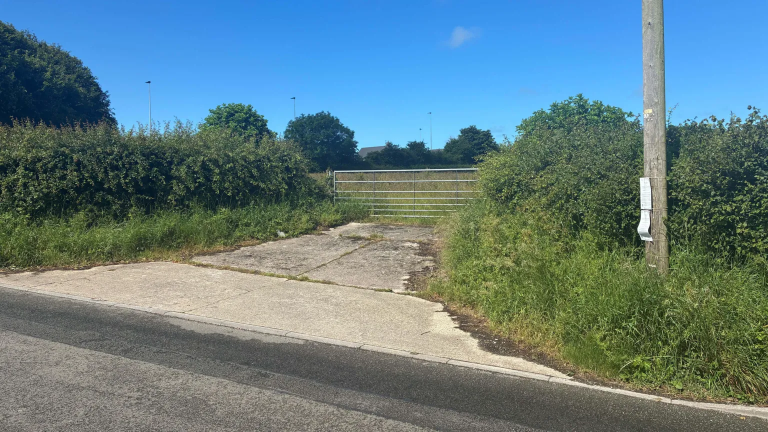 Kieran Molloy Bushes and a metal fence leading into a field on a roadside.
