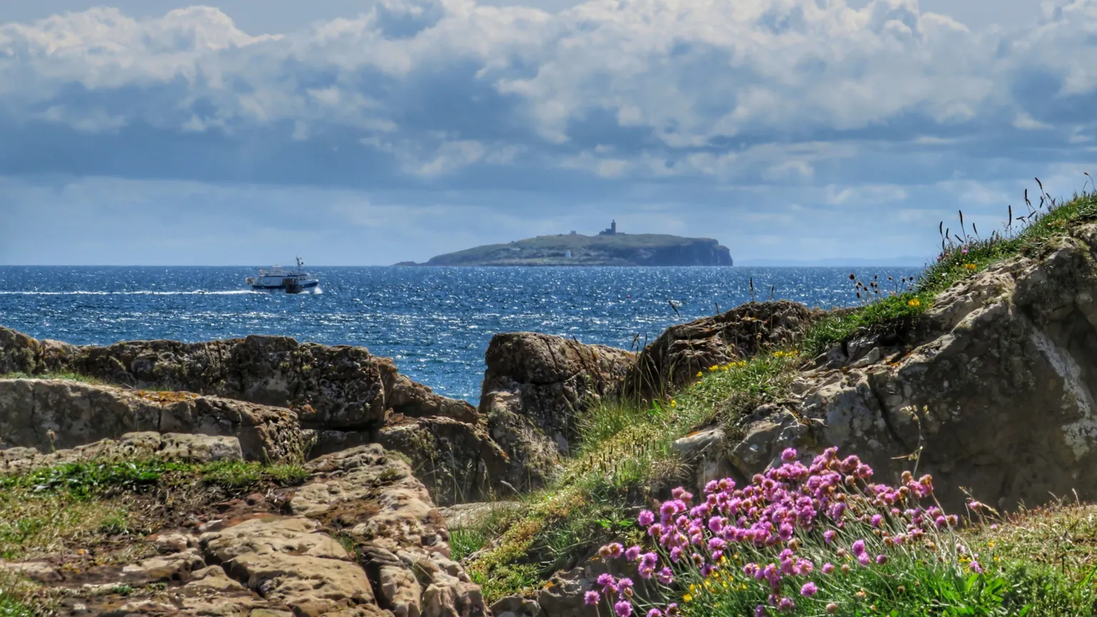Ian Pirrie The Isle of May in the distance, with the picture having been taken from another island, and the sea gleaming.