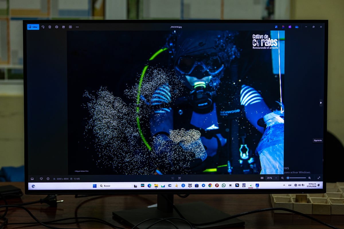An image on a screen shows egg and sperm collection in the coral farm in front of the National Aquarium
