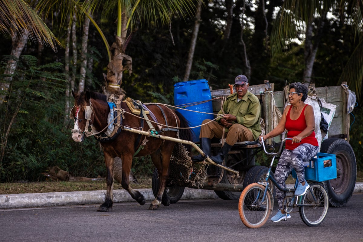 A horse-drawn cart and woman on a bicycle on the road in Playa Larga.