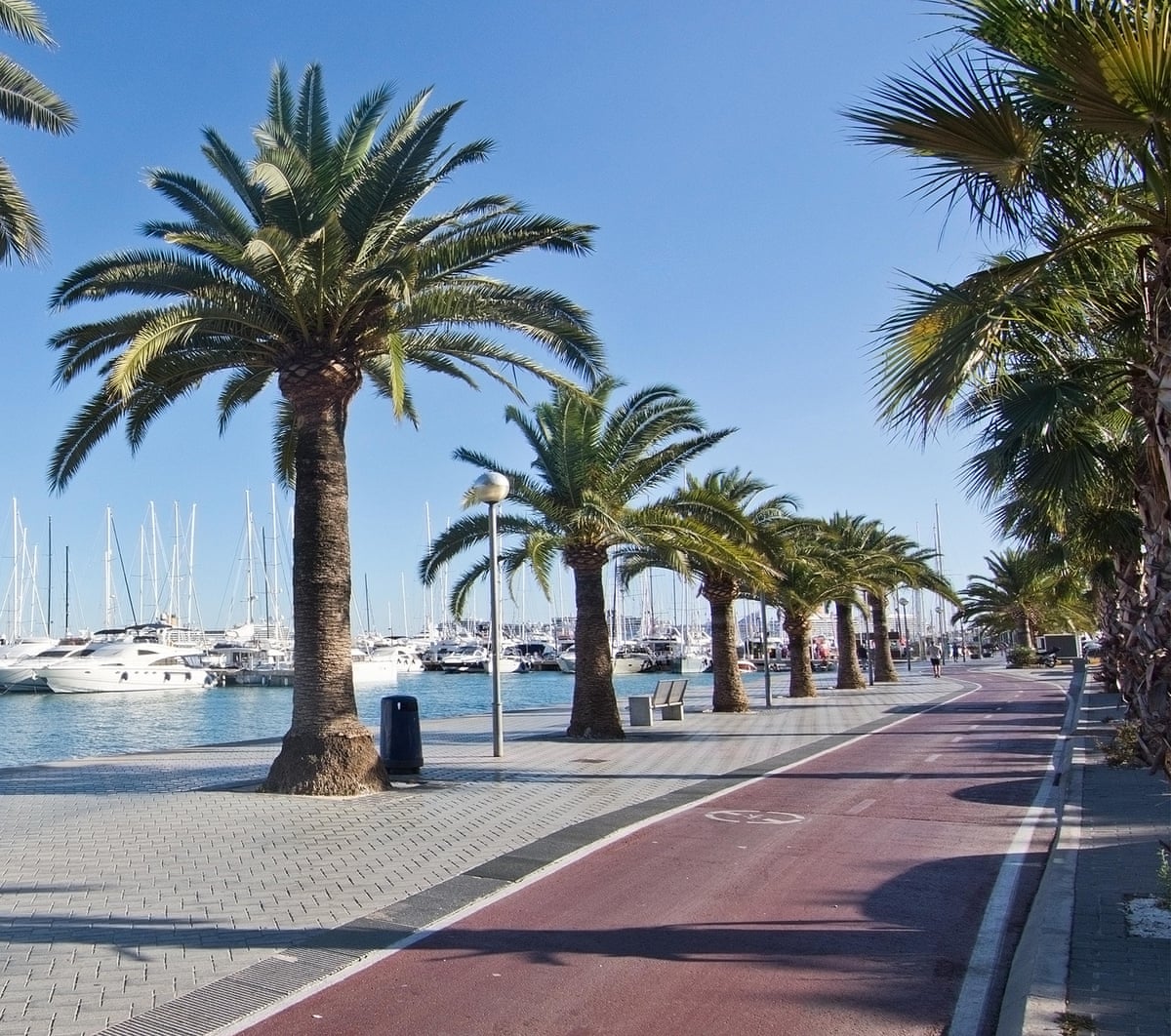 Yachts, palm trees, boardwalk and bicycle track on a sunny day in Palma, Spain