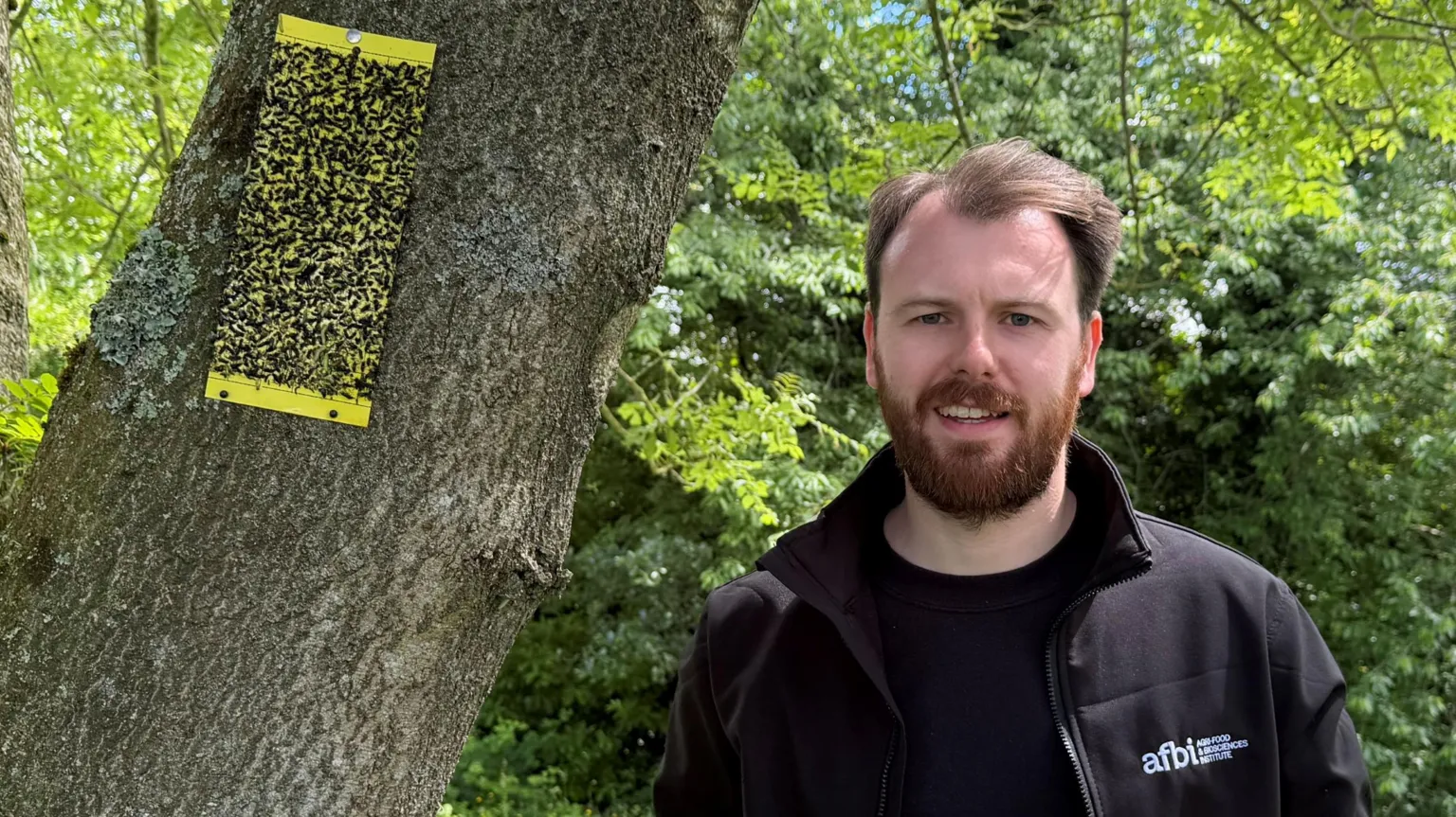 A man with a beard and dark hair, he is wearing a black top and jacket, beside him is a tree with a trap on it.