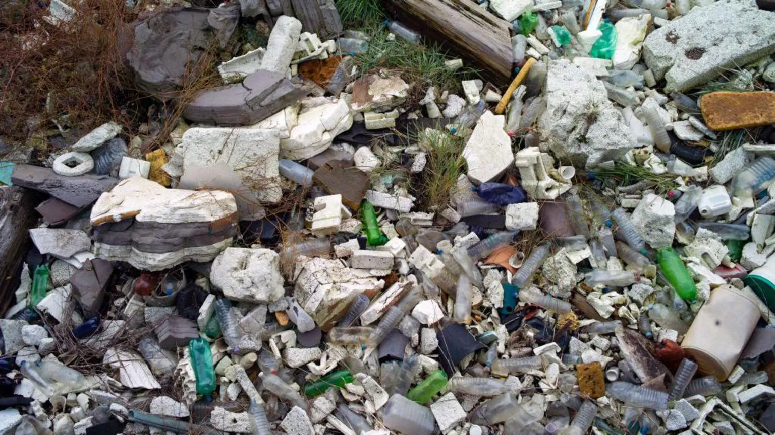 Plastics and other detritus lining the shore of the Thames Estuary on 28 October 2019.