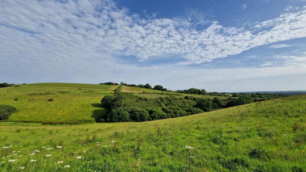 Grassy rolling hills under blue sky and patchy cloud