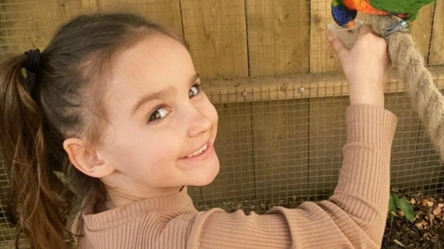 Family handout Aria Thorpe. She is a young child with long, dark hair tied up in a ponytail. She is pictured feeding a colourful bird and is looking over her shoulder and smiling.