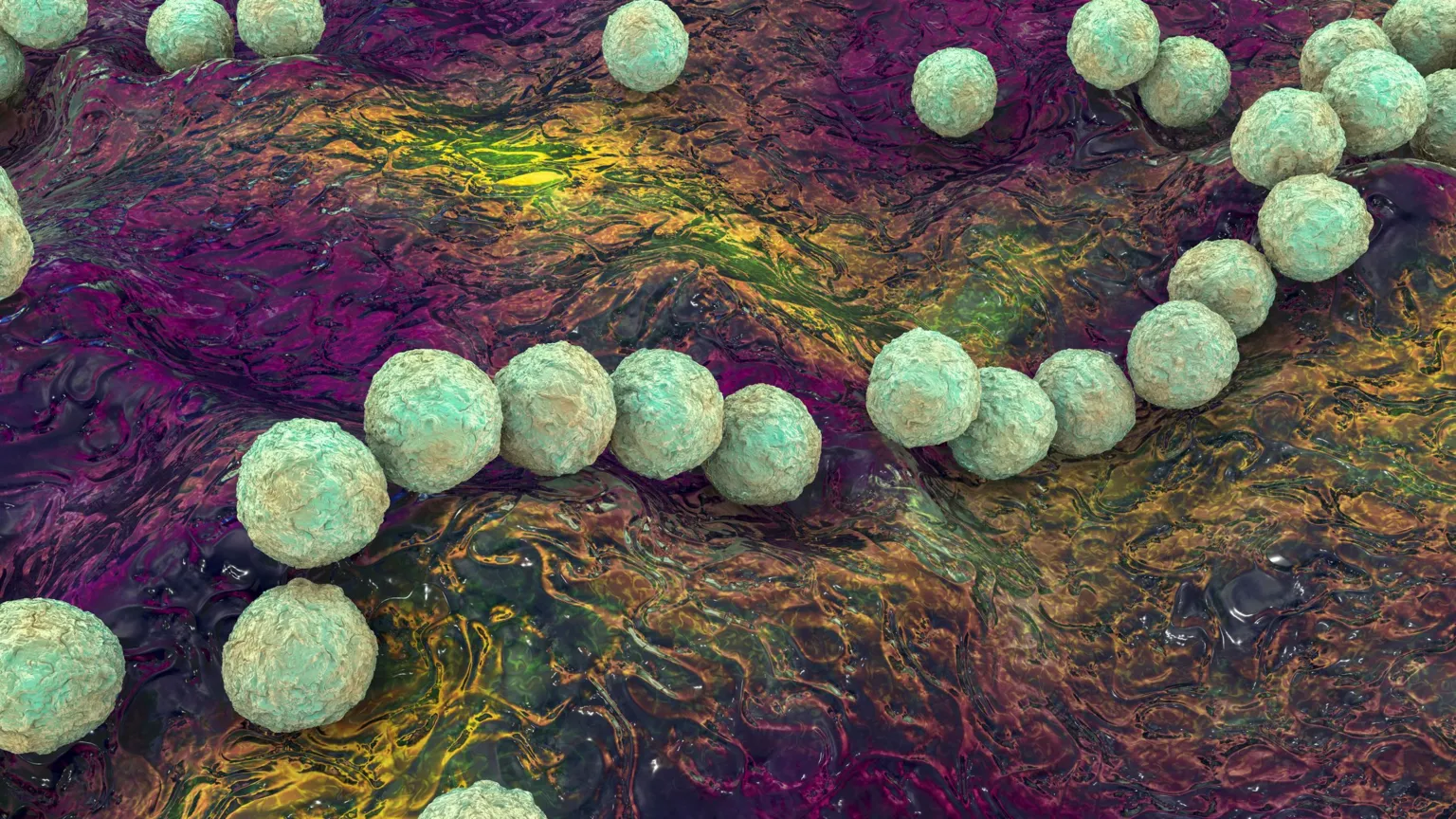 A 3D computer illustration of Group-A Streptococcus bacteria, showing what looks like rough light green spheres on a purple and yellow background.