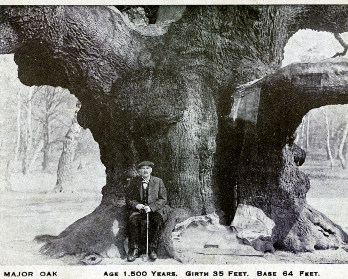 A black and white image of a man in front of a large tree trunk