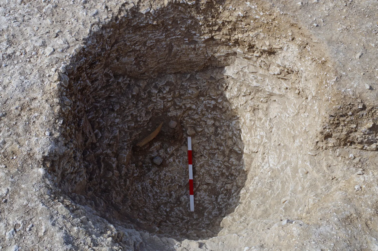 Wessex Archaeology The hole in the ground shows a light rock with a hole in shadow dug into it. At the bottom is a red and white measuring pole, with three blocks of white and two blocks of red visible in between. It's difficult to see how deep it is but at the bottom there is an artefact protruding at the bottom on the left hand side of the hole. It is in the shadowed area and is something that looks light brown in colour and slightly curved.