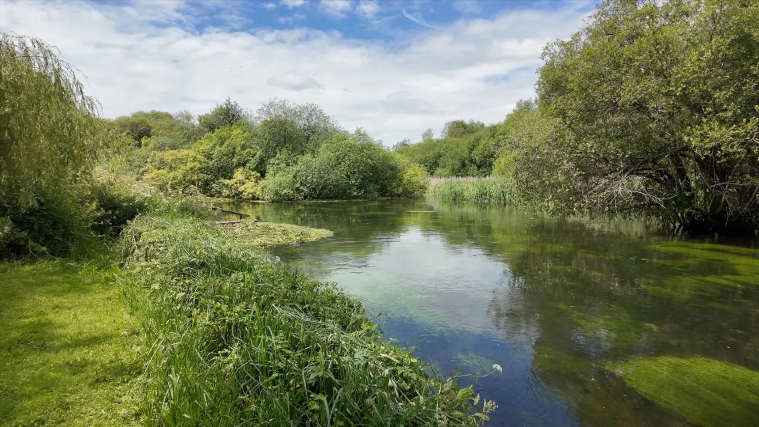 White clouds hang in a blue sky above a section of the River Test with green weeds in the clear water