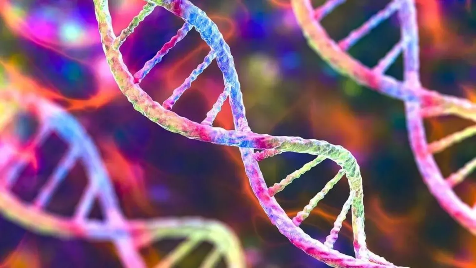  An image of the double helices of DNA as seen under a microscope. The twisted ladder-like structures are multi-coloured. The one in the centre of the image is in focus and others become increasingly blurred as they fade into the background.