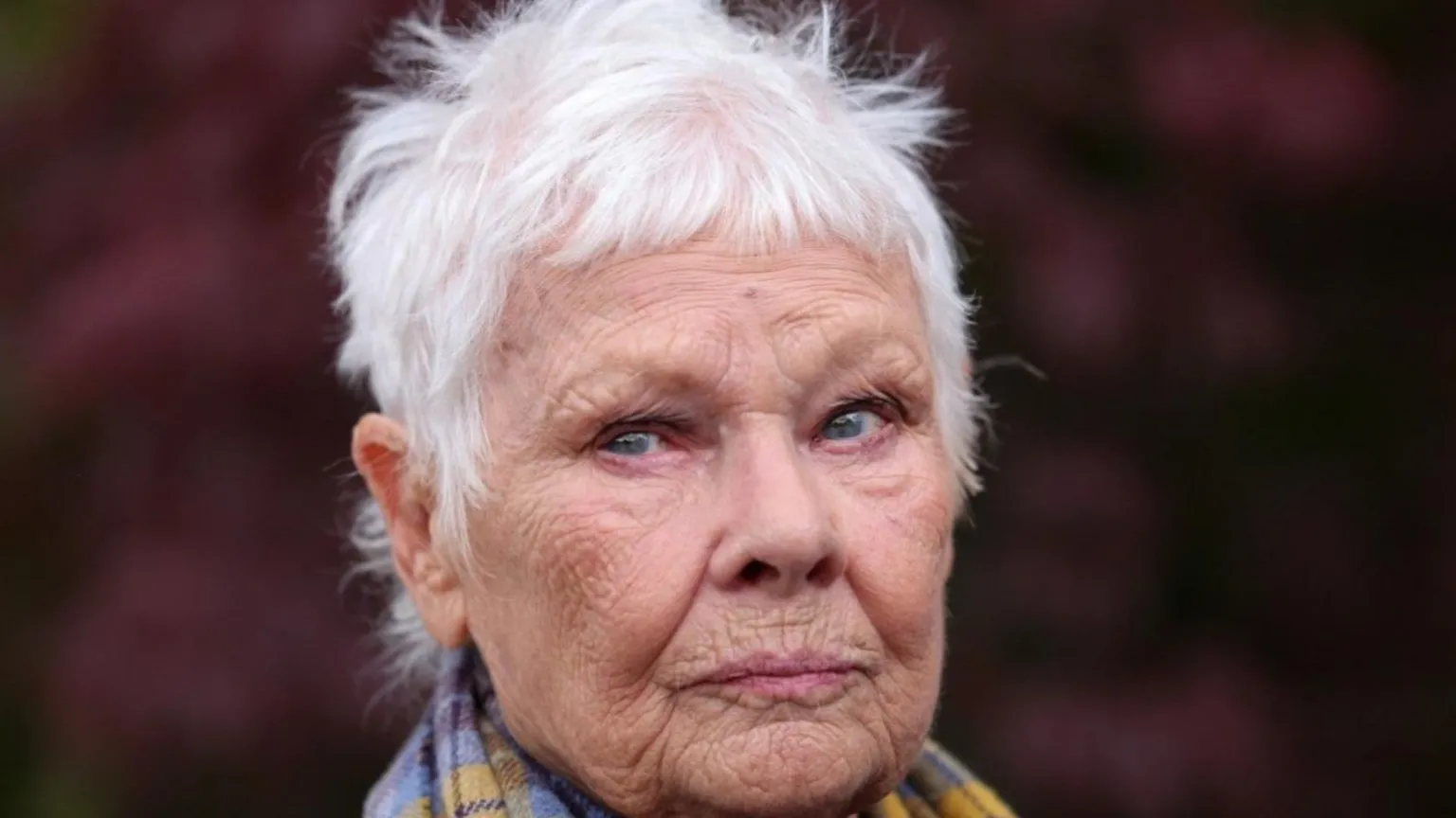 Andy Rain/EPA/Shutterstock Dame Judi Dench