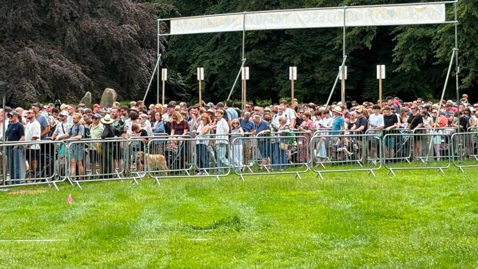 Tafwyl