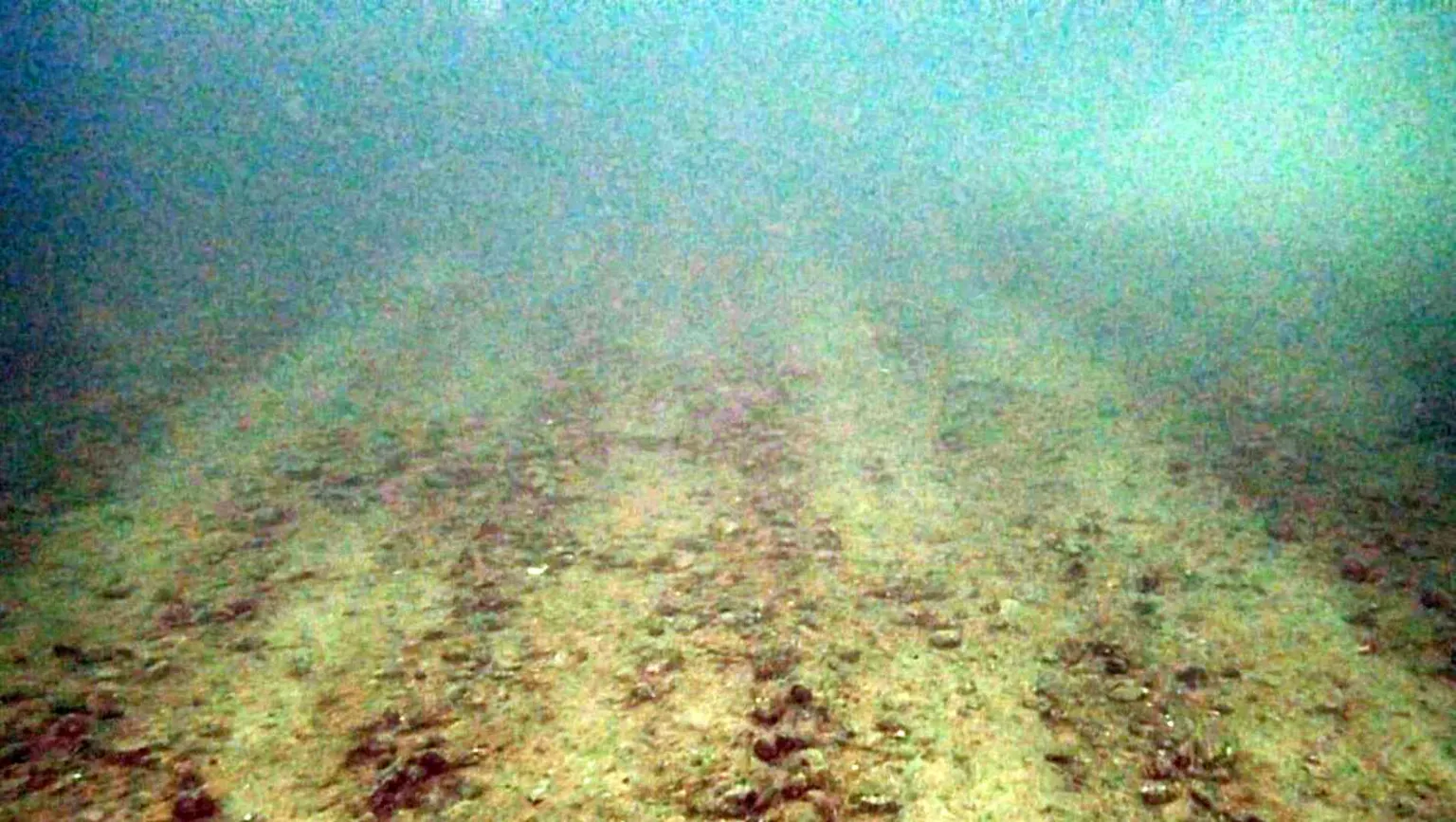 Open Seas An image of the seabed shows parallel lines heading into the distance.