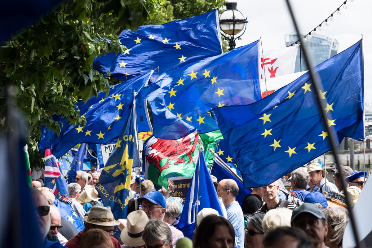 A group of protestors hold EU flags which flutter in the wing