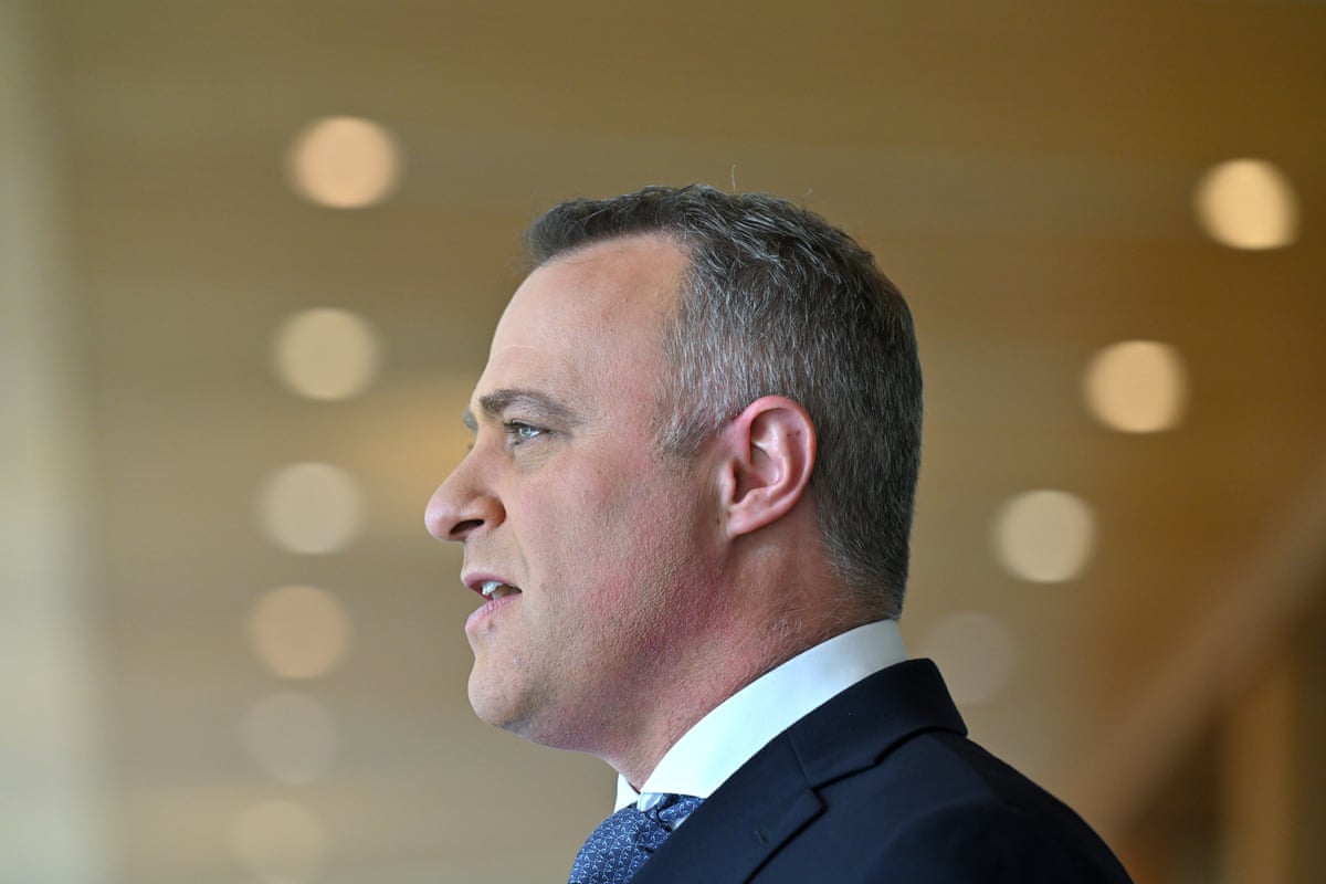 Shadow treasurer Tim Wilson