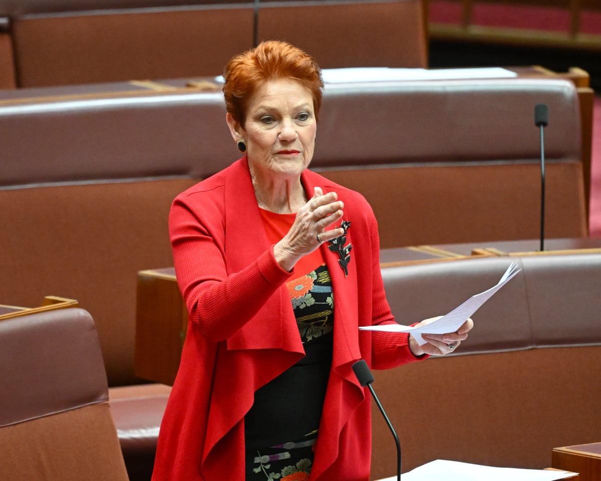 One Nation leader Pauline Hanson