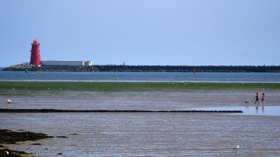 A red lighthouse stands at the end of a long breakwater, stretching across a calm blue sea, while two people walk a dog across the shallow tidal flats in the foreground.