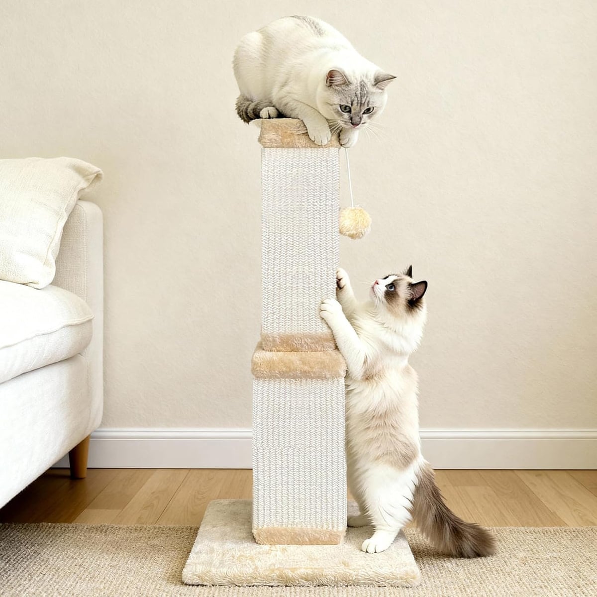 two cats playing by scratching post in a home