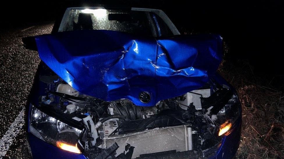 A blue car with a crumpled front end following a collision with a deer.
