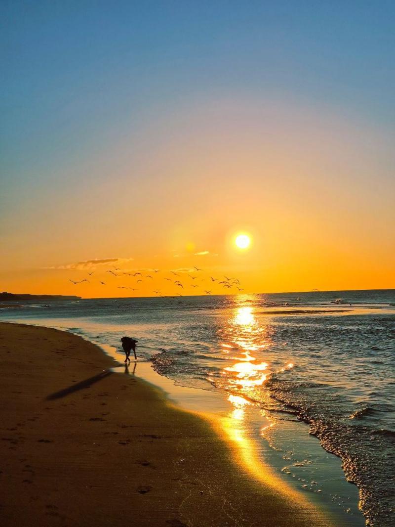 A yellow sunrise over the beach. The sun is reflecting in the water. 
