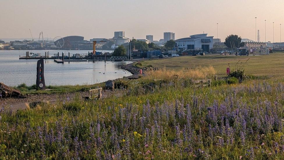 Long distance view of the Cardiff skyline from across a body of water