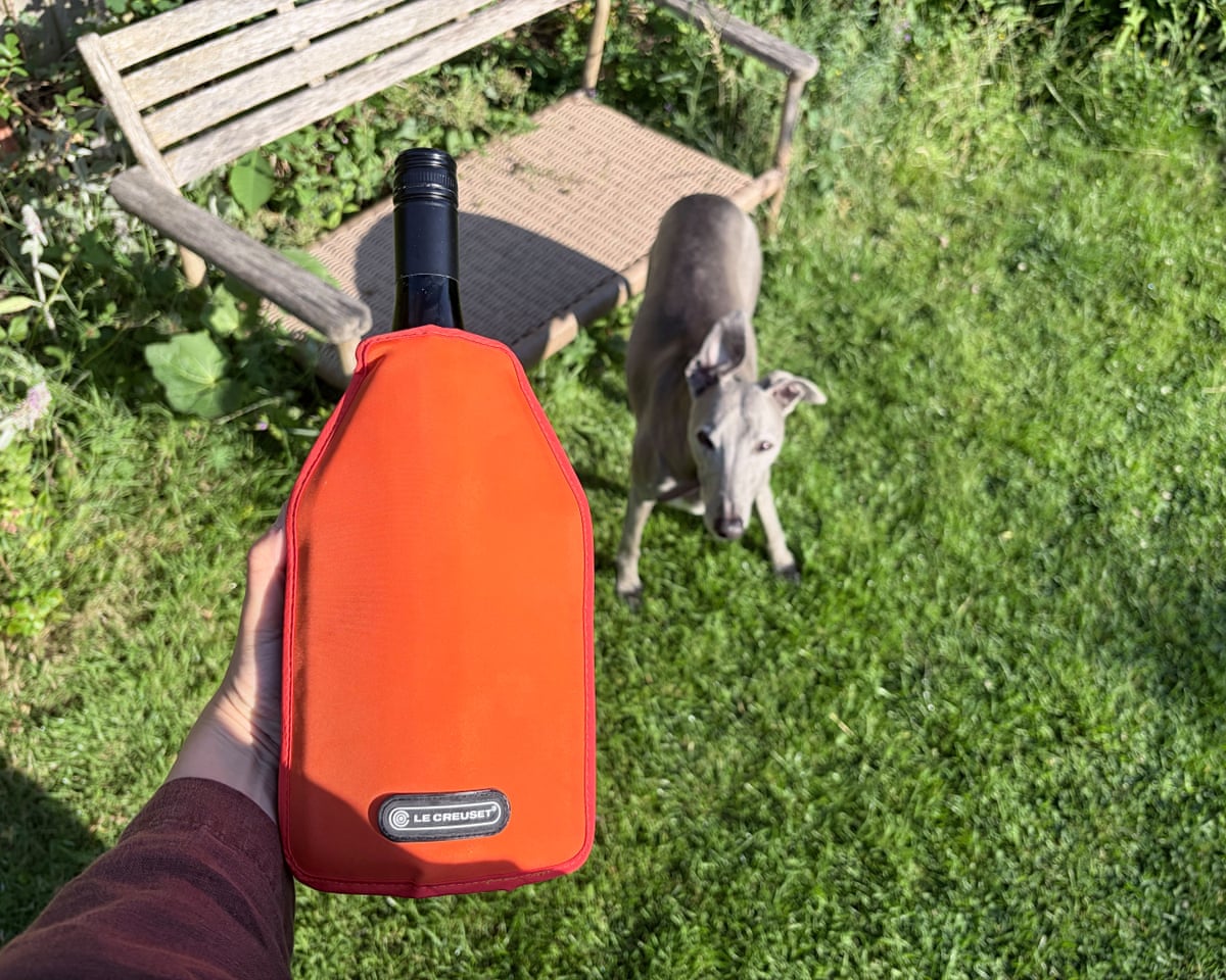 A bottle of wine in a Le Creuset wine cooler sleeve in a garden, with a dog in the background.