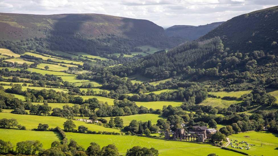 A landscape scene of fields and woodland