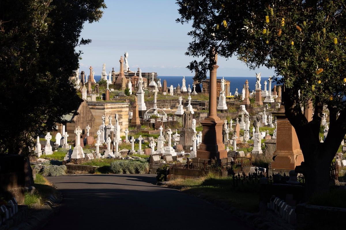 The last light hits Waverley cemetery as the sun sets