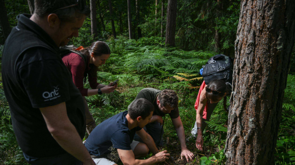 A group of three men and two women kneel over the ground in an area of woodland by a tree