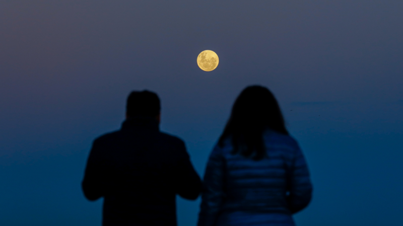 Two people sit with their backs facing the camera, watching the Strawberry Moon in the sky