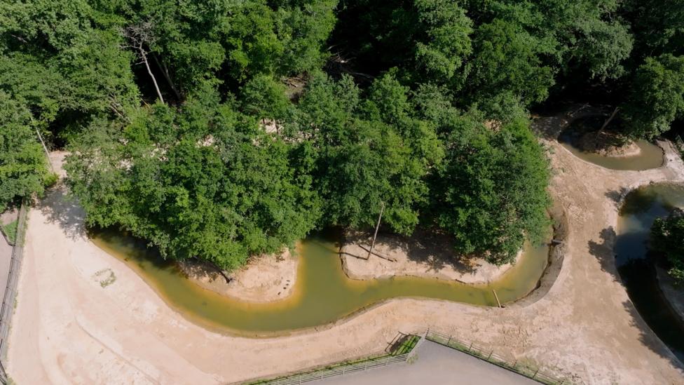 A drone image of a reserve at a wildlife park. There are islands surrounded by a stream of water. There are large trees on the islands.