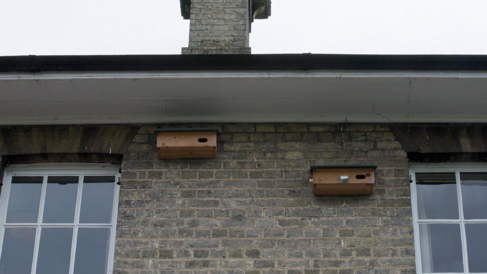 Two wooden nesting boxes are fixed to a brick wall on an old building.
