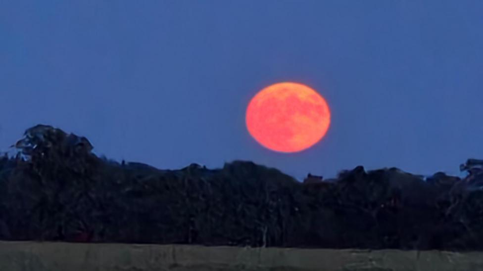 The moon rising above Fareham