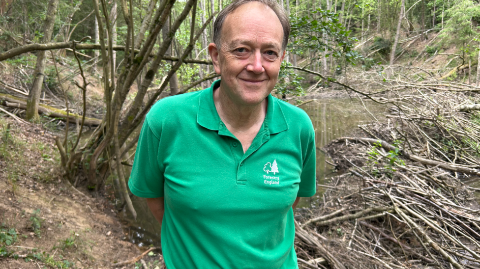 A man with short grey hair is standing in front of a number of trees in a forest. He is wearing a green jacket with a tree logo and