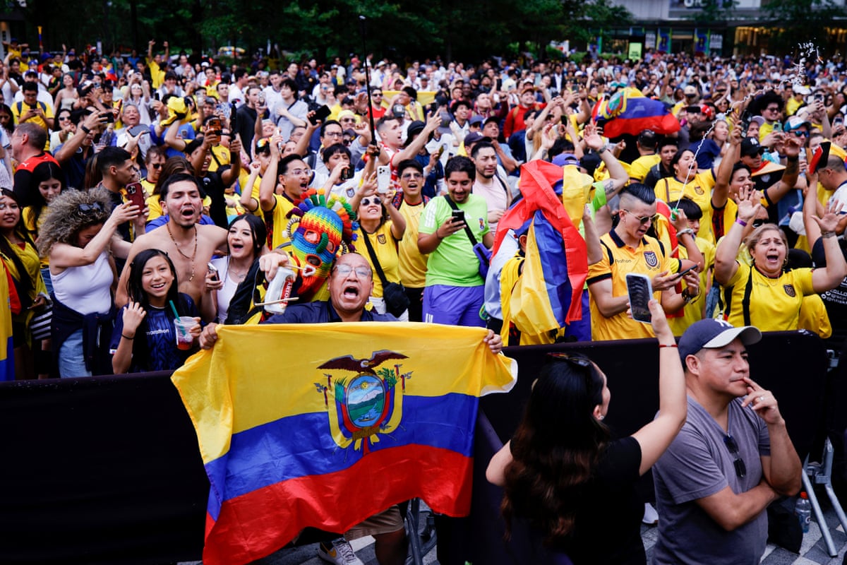 a person waving a flag