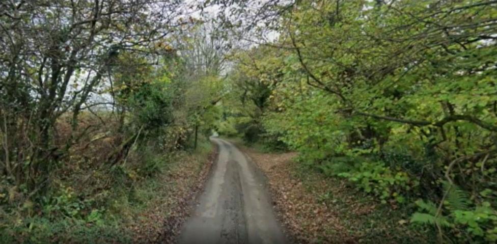 A narrow road with greenery on either side.