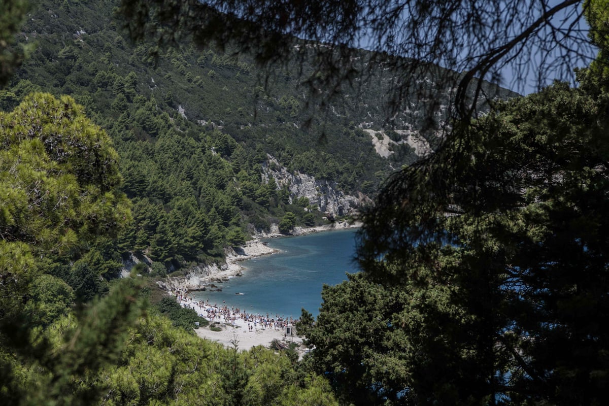 view through dark green trees, including very tall coniferous trees, to a sandy bay around a deep blue sea. There are people on the beach.