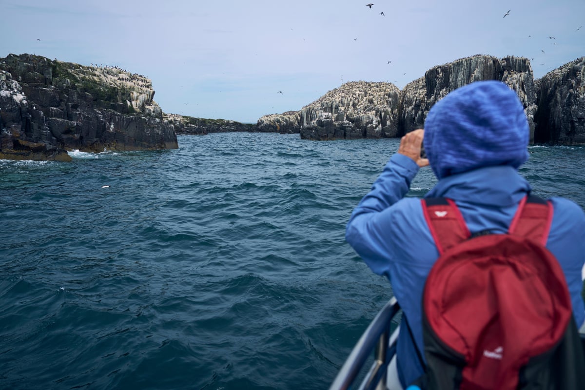A person looks out to sea from a boat