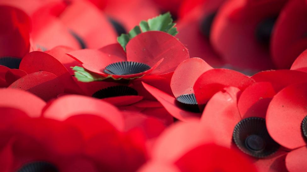 A number of poppies bunched together