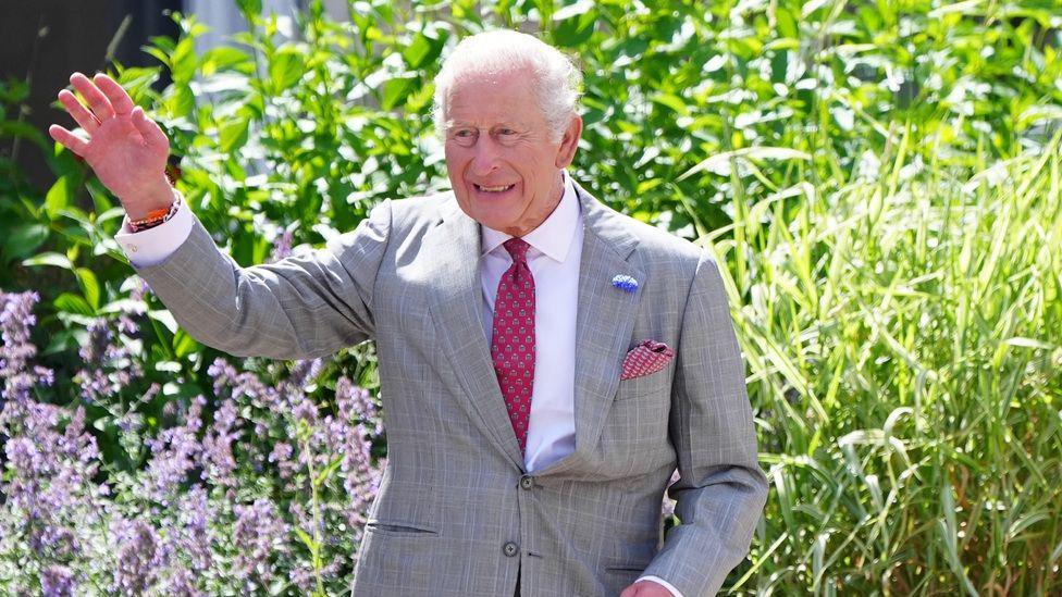 King Charles in a grey suit waves to onlookers in front of long grass and flowers